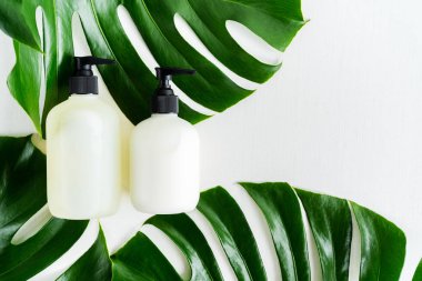 Yeşil yaprakları ile gri beton arka plan üzerinde ambalaj için şişe Kozmetik seti