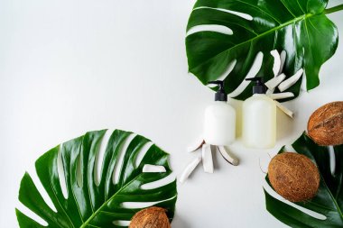 Yeşil yaprakları ve hindistan cevizi ile gri beton arka plan üzerinde ambalaj için şişe Kozmetik seti 
