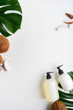 Yeşil yaprakları ve hindistan cevizi ile gri beton arka plan üzerinde ambalaj için şişe Kozmetik seti 