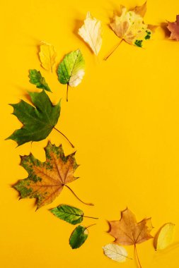 Renkli sonbahar yaprakları düz yatıyordu çelenk. Doğa maket arka plan. Mevsimsel konsept. Yaratıcı sezon düzeni.