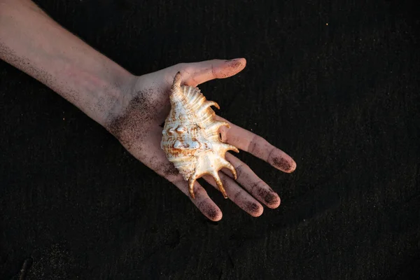 Siyah kumdan bir arka planda güzel, alışılmadık bir kabuk. Kız elinde Bali 'de siyah bir sahilde alışılmadık bir deniz kabuğu tutuyor..