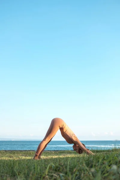 Güzel genç bayan yoga köpeği pozu üzerinde çalışıyor. Kız okyanus kıyısındaki çimlere spor yapmaya gider. Tam boy dişi bir yogi yan yana durur..