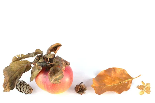 Single Apple Brown Dry Leafs Other Autumnal Accessoires White Background — Stock Photo, Image