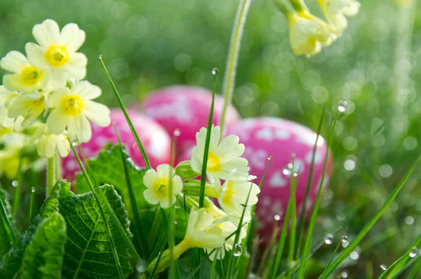 Spring meadow with easter eggs — Stock Photo, Image