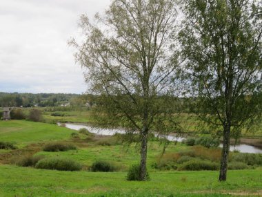 - Rusya. Mikhailovskoye Köyü. Büyük şair Puşkin 'in müze rezervi. Şairin evine giden yol. Puşkin ailesinin güzel parkı..