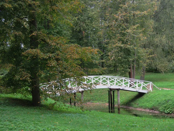 Russia. Village Mikhailovskoye. Museum-reserve of the great poet Pushkin. The road to the poet\'s house. Beautiful Park of the Pushkin family.