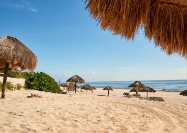 Karayipler beach Palm-yaprak şemsiyelerle Playa Delfines, Cancun, Meksika, 7 Eylül 2018