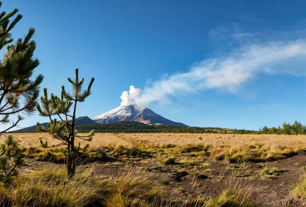 Fumarole Jön Popocatepetl Vulkán Látható Amikor Popo Zoquiapan Nemzeti Park — Stock Fotó