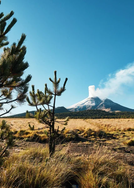 Füst Jön Popocatepetl Vulkán Amikor Popo Zoquiapan Nemzeti Park Mexikó — Stock Fotó