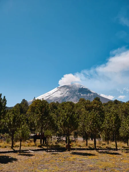 从墨西哥伊察 波波国家公园看到了波波卡泰佩特尔火山和富马洛火山 — 图库照片