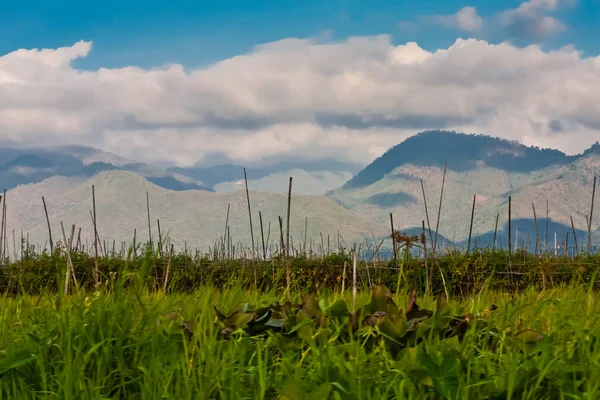 Drijvende Tuinen Van Het Inle Lake Myanmar — Stockfoto