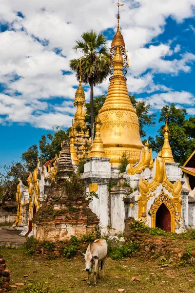 Sagar Taunggyi Inle Gölü Myanmar Stupas — Stok fotoğraf