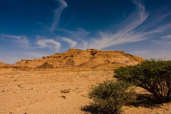 Öknen Skönhet Ett Fantastiskt Landskap Solig Dag — Stockfoto