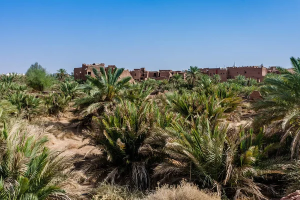 Geleneksel çamur tuğla çöl köyü, Riyadh Province, Suudi Arabistan