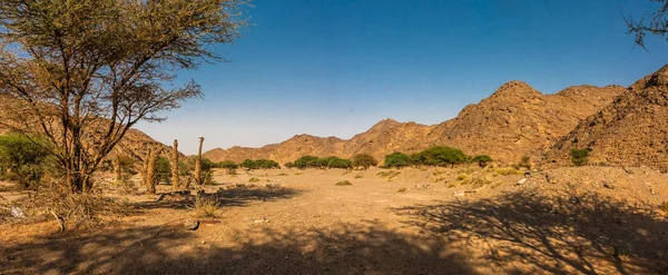 Wadi Massal, Riyadh Province, Suudi Arabistan Panoraması