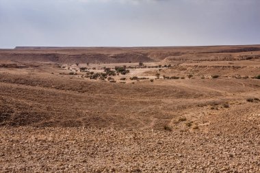 Riyad 'ın güneydoğusunda çöl manzarası, Suudi Arabistan