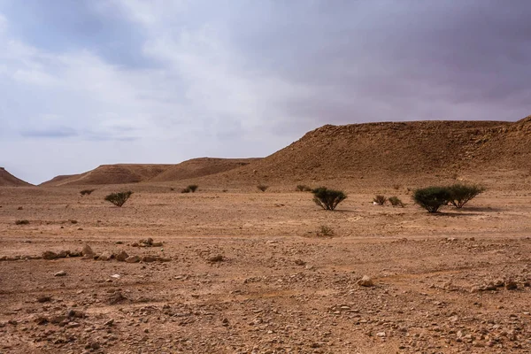 Eine Wüstenlandschaft Südöstlich Von Riad Saudi Arabien — Stockfoto