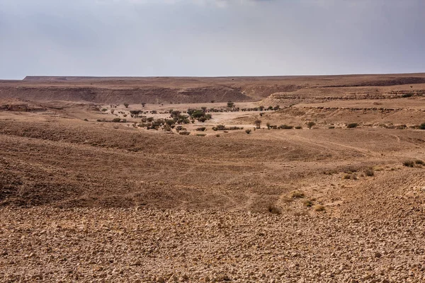 Riyad 'ın güneydoğusunda çöl manzarası, Suudi Arabistan