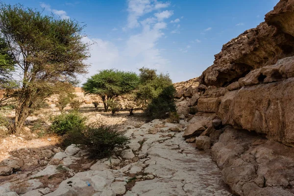 A Wadi Near Abu Jifan Fort, Riyadh Province, Suudi Arabistan