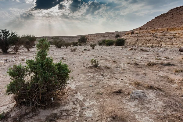 Wadi Der Nähe Von Abu Jifan Fort Provinz Riad Saudi — Stockfoto