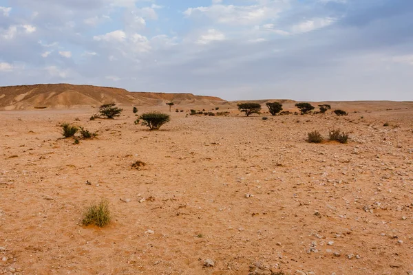 Eine Wüstenlandschaft Südöstlich Von Riad Saudi Arabien — Stockfoto