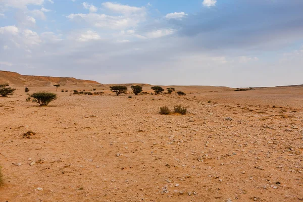 Eine Wüstenlandschaft Südöstlich Von Riad Saudi Arabien — Stockfoto