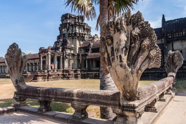 Ana Angkor Wat tapınağının girişinde çok başlı bir naga (yılan), Siem Reap, Kamboçya
