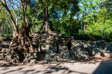 Angkor Thom, Kamboçya 'daki eski Khmer tapınağının Harabeleri