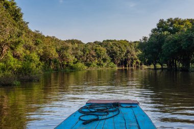 Bir tekne Tonle Sap Gölü, Kamboçya üzerinde bir Mangrove Bush kanal üzerinden yüzen