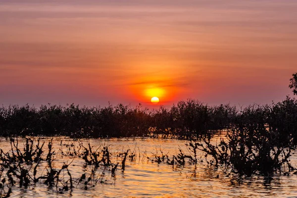 Zonsondergang Tonle Sap Meer Cambodja — Stockfoto