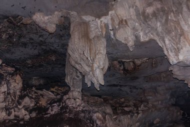 Kuching yakınlarındaki Rüzgar Mağarası'nın içinde, Sarawak, Borneo
