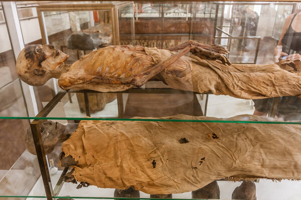 Mummies in the Egyptian Museum of Turin
