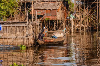 Tonle Sap Gölü, Kamboçya'da bir balıkçı köyünde başını yıkayan bir kadın