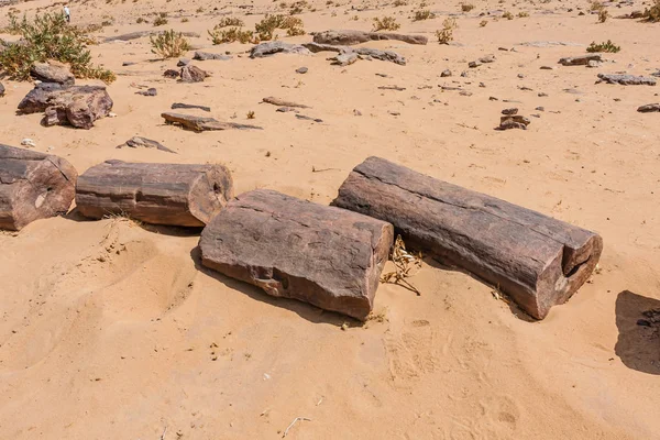 リヤド南部の砂漠の石化した丸太 — ストック写真