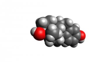 Estradiol molekülün 3d dinamik modeli. Van der Waals küreler