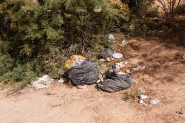 Riyad yakınlarındaki Naquibs Göleti kıyısında ziyaretçiler tarafından bırakılan çöp