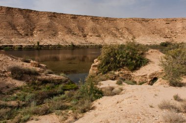 Naquibs Pond Riyad yakınlarındaki küçük bir doğal tatlı su gölü