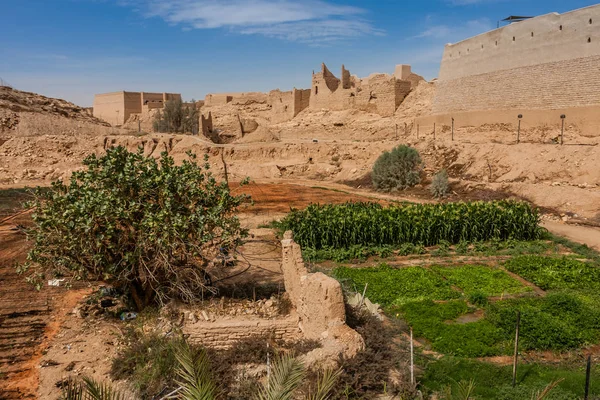 Ekologisk Gård Wadi Hanifa Nära Historic Diriyah Riyadh — Stockfoto