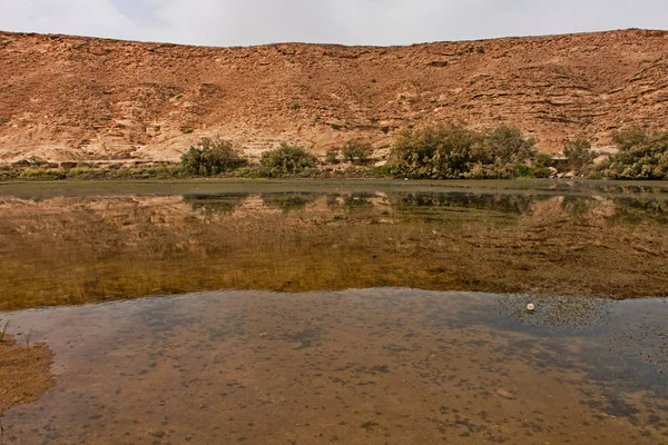 ナキブス池はリヤド近くの小さな天然淡水湖です — ストック写真
