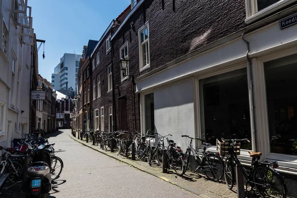 Koediefstraat Den Haag — Stockfoto