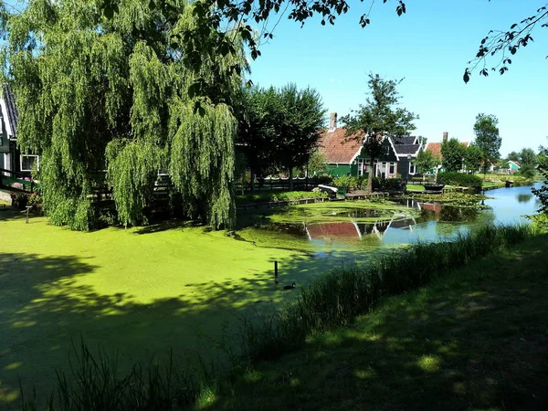 Casas Holandesas Tradicionais Margem Lagoa Zaanse Schans — Fotografia de Stock