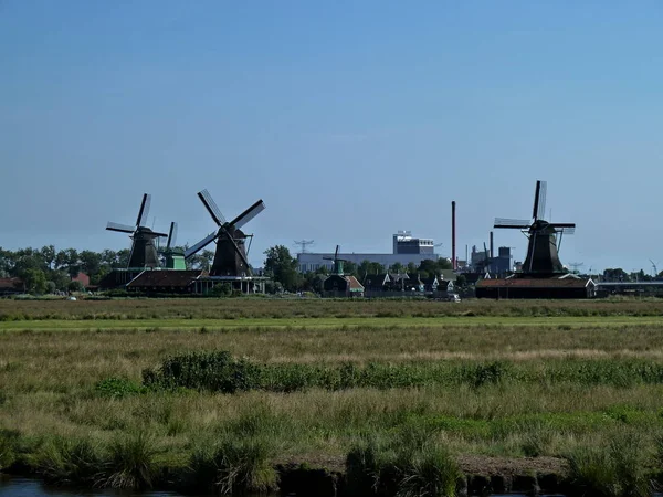 Луга Ветряные Мельницы Zaanse Schans — стоковое фото