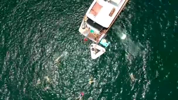 Iate Ancorado Pessoas Nadando Chamas Sol Como Visto Quadricóptero — Vídeo de Stock