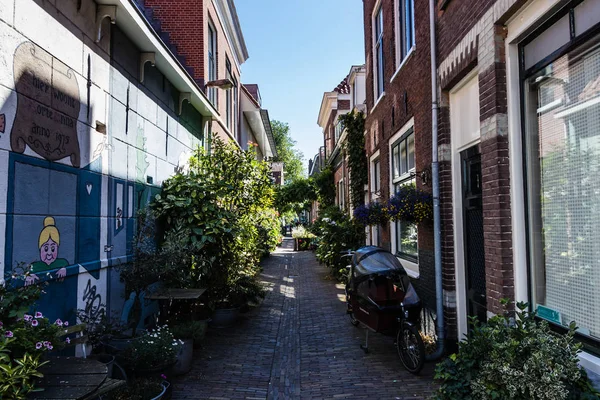 Kerkstraat Een Kleine Rustige Straat Het Historische Centrum Van Haarlem — Stockfoto