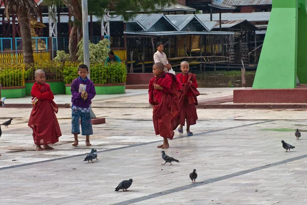 缅甸Taunggyi Phaung Daw Oo塔附近的儿童和佛教儿童和尚喂鸽子 — 图库照片