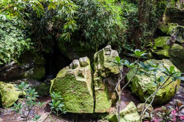 Endonezya 'daki Bali Adası' ndaki antik Hindu tapınağının yosunlu harabesi.