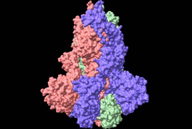 SARS-CoV-2 sıçrama glycoprotein, yüzey modeli, siyah arkaplan, 3 boyutlu illüstrasyon izole