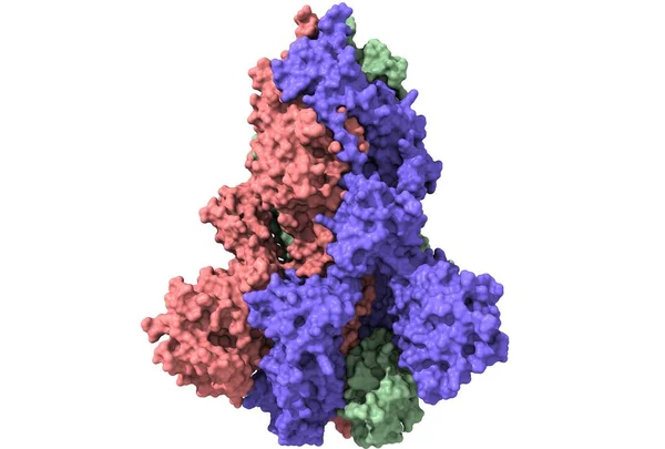 SARS-CoV-2 sıçrama glycoprotein, yüzey modeli, beyaz arkaplan, 3 boyutlu illüstrasyon izole