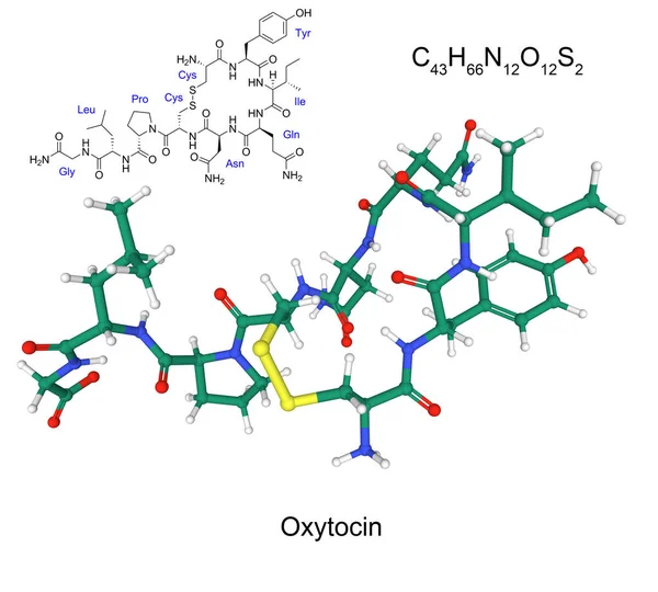 Wzór Chemiczny Formuła Strukturalna Model Ball Stick Ludzkiego Hormonu Oksytocyna — Zdjęcie stockowe