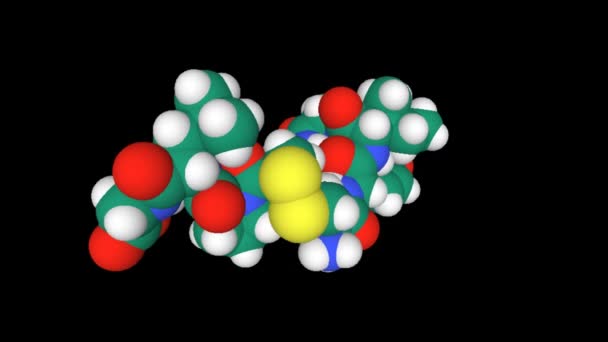 Dynamisches Raumfüllmodell Des Menschlichen Hormons Oxytocin Schwarzer Hintergrund — Stockvideo